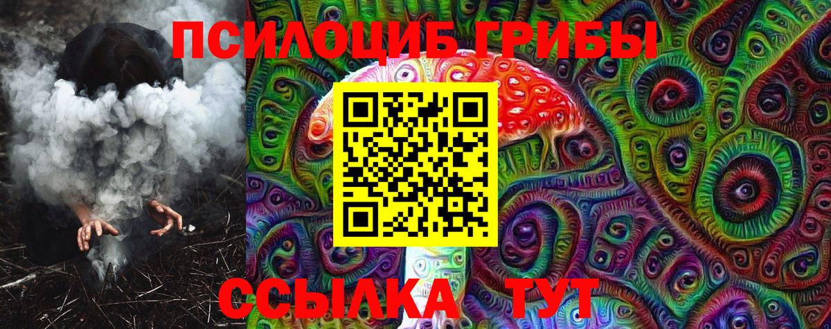 Псилоцибиновые грибы мухоморы  Галлюциногенные грибы Psilocybine cubensis  Шелехов  Вход с VPN 